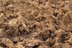 酸性土壤有哪些危害，酸性土壤如何改良？