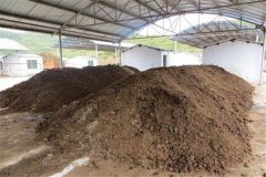 農(nóng)家肥是什么？農(nóng)家肥有優(yōu)點有哪些？