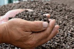 雞糞肥屬于有機(jī)肥嗎？雞糞肥和羊糞肥哪個(gè)好？