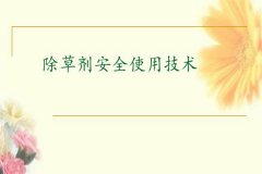 除草劑安全使用要點 發(fā)生除草劑藥害如何補救？