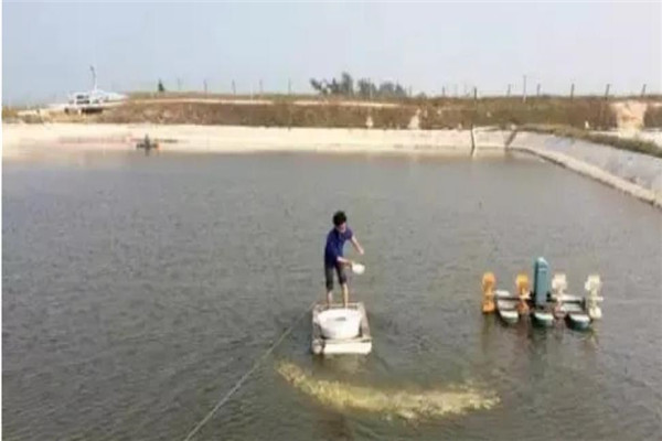 清理池塘，施藥消毒