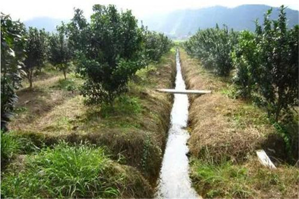 果園合理灌、排水