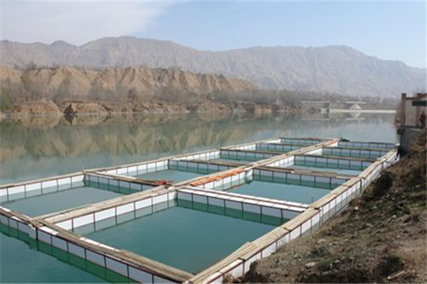 北方魚(yú)塘如何讓魚(yú)類(lèi)安全越冬