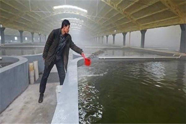 pH值。表示水的酸堿度