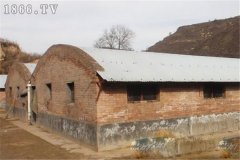 麝鼠圈舍建筑方法與要求有哪些？