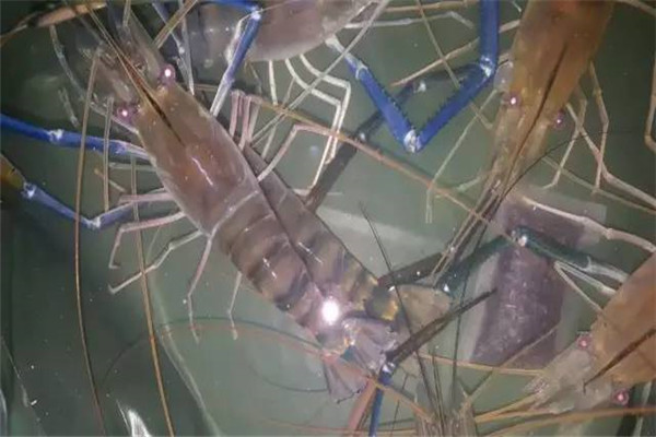 運輸過程中應注意哪些問題