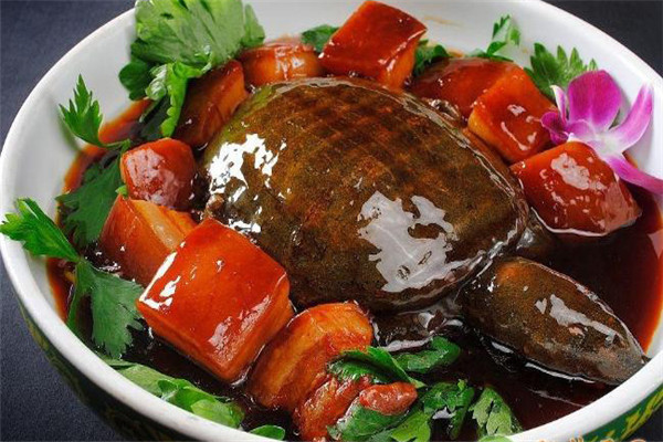 甲魚的營(yíng)養(yǎng)價(jià)值、性味功效