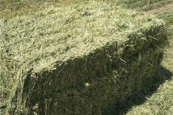 青干草的色、香、味