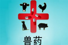 獸藥屬于藥品嗎？獸藥與人用藥的區(qū)別是什么？
