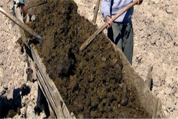 正確處理商品有機肥和農(nóng)家肥的關(guān)系