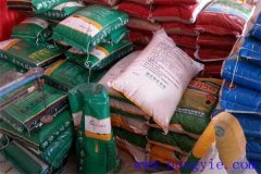 如何選小麥種子？這六個(gè)方面要考慮清楚！