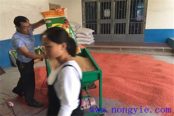 盡量購(gòu)買(mǎi)包衣種