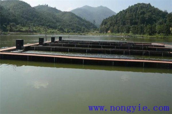 科學(xué)使用藥物，預(yù)防疾病發(fā)生