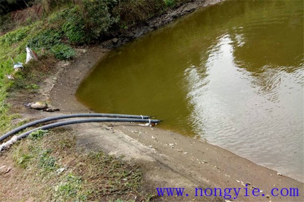 魚池要有補(bǔ)水、補(bǔ)氧設(shè)施