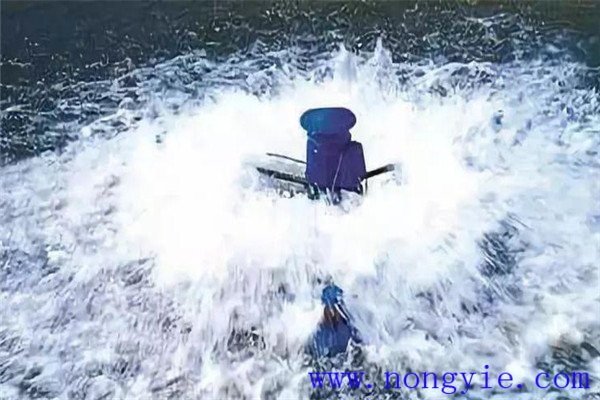 保，即保魚蝦健康