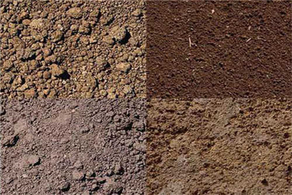 土壤活化劑有毒嗎