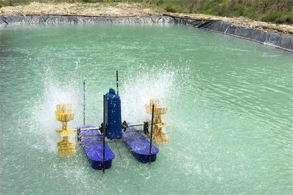 適時(shí)換水，科學(xué)增氧