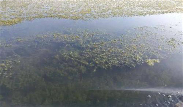 提供棲息、隱蔽場所