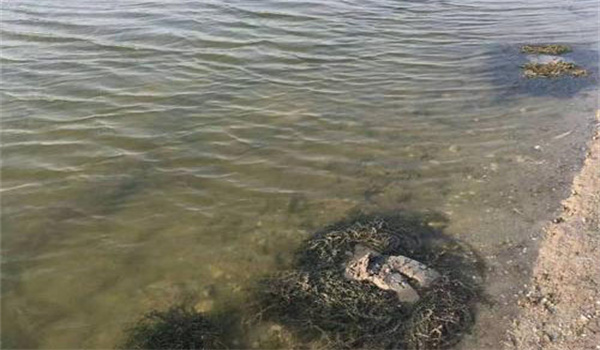 清整消毒、保證水質(zhì)