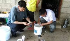 魚(yú)病治療中的發(fā)現(xiàn)、送診、用藥問(wèn)題