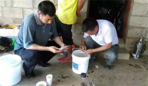 魚病治療中的發(fā)現(xiàn)、送診、用藥問(wèn)題