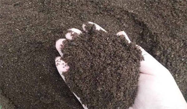 兔糞發(fā)酵幾天腐熟