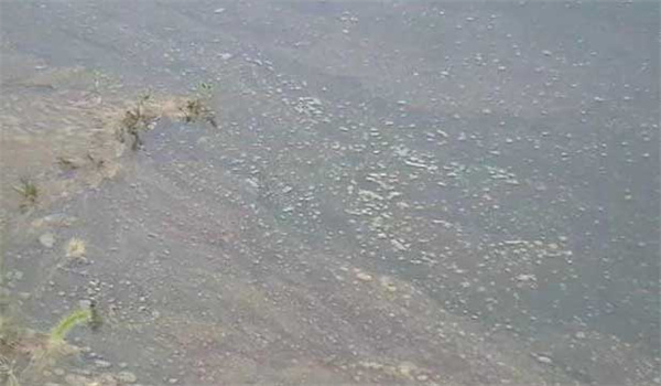 養(yǎng)殖池塘缺氧的原因是什么，有哪些防范措施