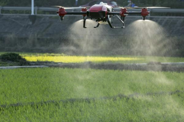 使用吡蟲(chóng)啉的注意事項(xiàng)