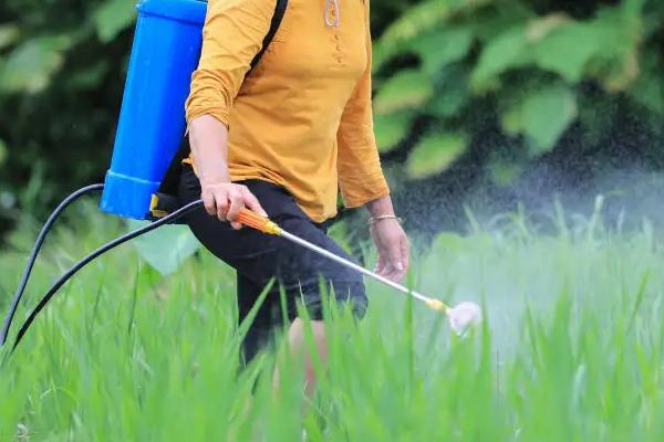 一克吡蟲(chóng)啉兌水多少斤