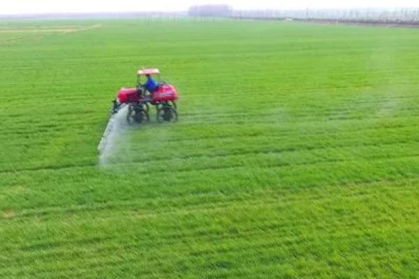 施用吡蟲啉幾個(gè)小時(shí)見(jiàn)效