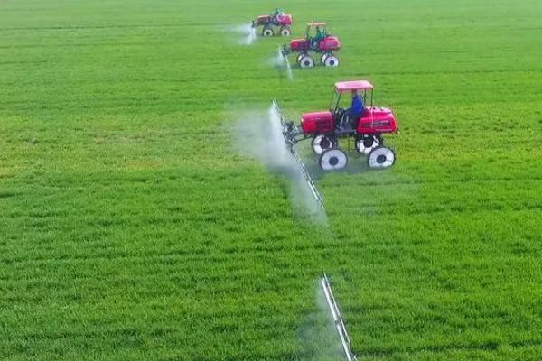 吡蟲啉藥效多長(zhǎng)時(shí)間