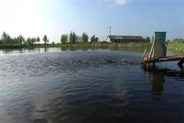 魚池面積、水深和底質