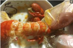 小龍蝦殼是廚余垃圾嗎?小龍蝦殼有什么用途