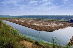 澳洲龍蝦養(yǎng)殖條件有哪些，養(yǎng)殖周期是多久？