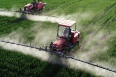 吡蟲(chóng)啉的殺蟲(chóng)原理、防治對(duì)象及需注意事項(xiàng)