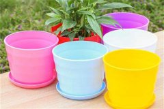 常見花盆的種類和特點、材質款式用途