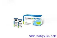 豬偽狂犬疫苗的種類，仔豬幾天打疫苗幾天產(chǎn)生