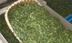 炒青綠茶加工分哪幾道工序、具體方法是什么？