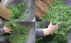 毛尖茶手工制作的具體步驟和方法是什么？