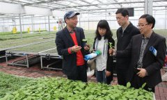 農村農業(yè)科技服務的基本內涵是什么？