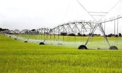 替代農(nóng)業(yè)的類型、主要形式有哪些？