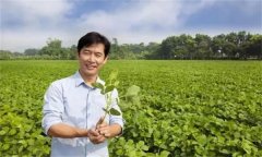 新型農(nóng)民是指什么農(nóng)民，其具備哪三個(gè)特征