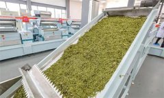 扁形名優(yōu)綠茶機械加工的具體方法是什么？