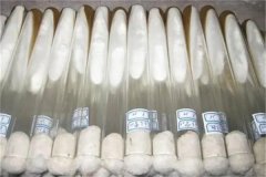 什么是食用菌膠囊菌種，接種操作要點(diǎn)有哪些？