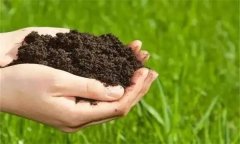 生物有機(jī)肥的功效與作用有哪些？