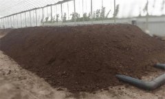 養(yǎng)雞場(chǎng)糞便、死雞及其他廢棄物的處理方法