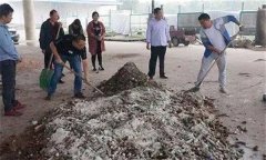 雙孢菇培養(yǎng)料發(fā)酵過程中會出現(xiàn)哪些問題？