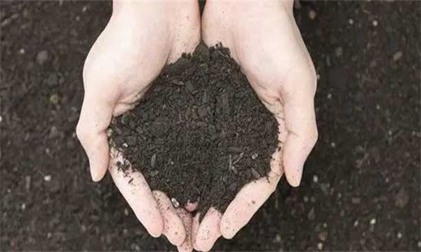 以有機(jī)肥為主，無(wú)機(jī)肥為輔