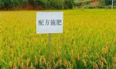 什么是配方施肥技術(shù)，配方施肥應(yīng)遵循哪些原理