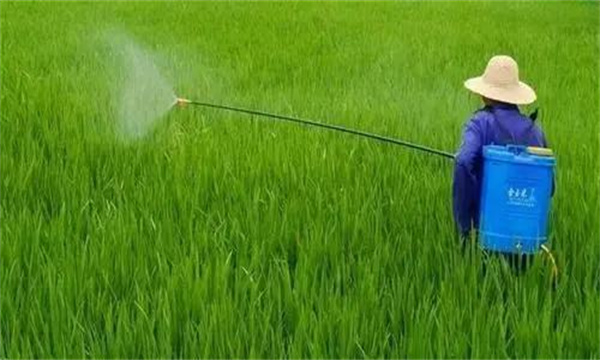 農(nóng)藥使用次數(shù)問(wèn)題